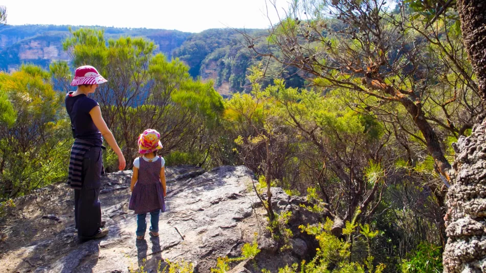 The Chester Trail: A Journey Through Ancient Wilderness