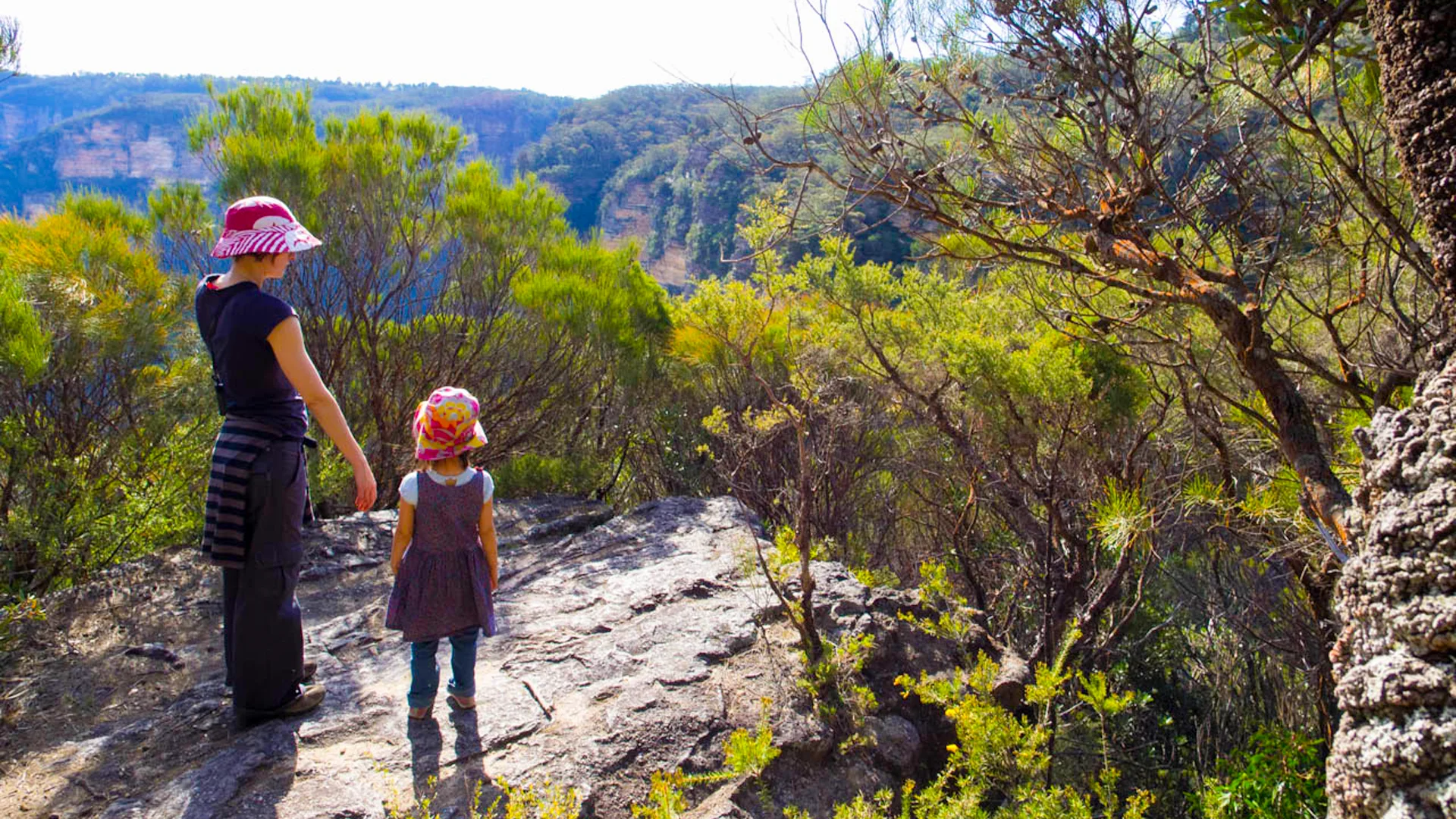 The Chester Trail: A Journey Through Ancient Wilderness
